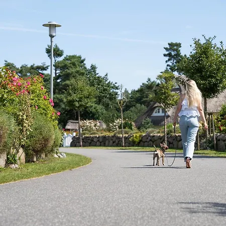 Hébergement de vacances Haubenlerche 59